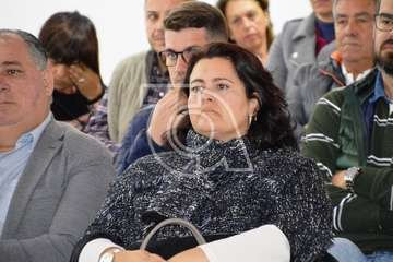 Presentación de los trámites de aprobación del nuevo PGO de Telde (Foto TA)